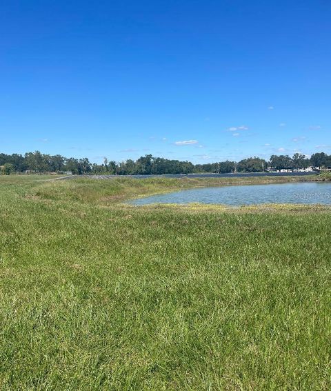 SYDNEY ROAD DOVER FL 33527