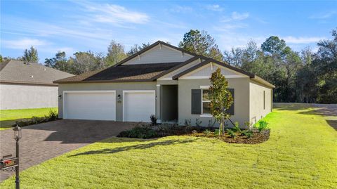 Tiny photo for 6546 SW 180th Circle, Dunnellon, FL 34432 (MLS # O6387372)