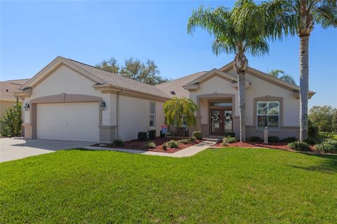 A home in SUMMERFIELD