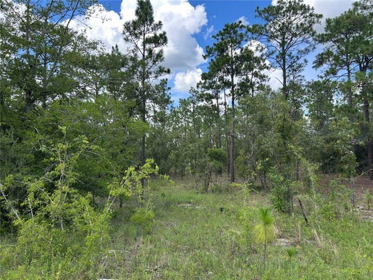 TBD SE 26TH STREET, MORRISTON, FL 32668 - Image cbc27292a34d3424f7d7fca9606dbca9/2053747059