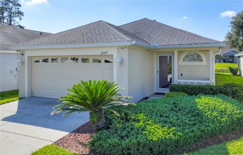 Photo of 6109 Gentle Ben Circle, Wesley Chapel, FL 33544 (MLS # TB8464319)