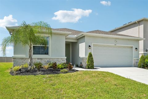 Photo of 178 Mangrove Manor Drive, Apollo Beach, FL 33572 (MLS # S5153040)