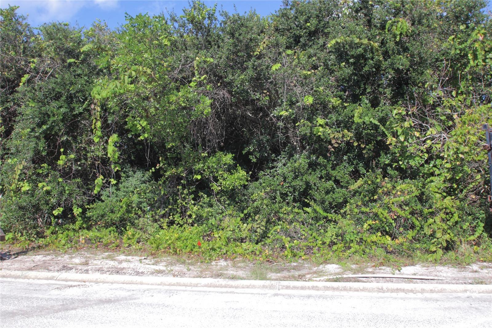 LAS OLAS PH 01 & 02 - Land