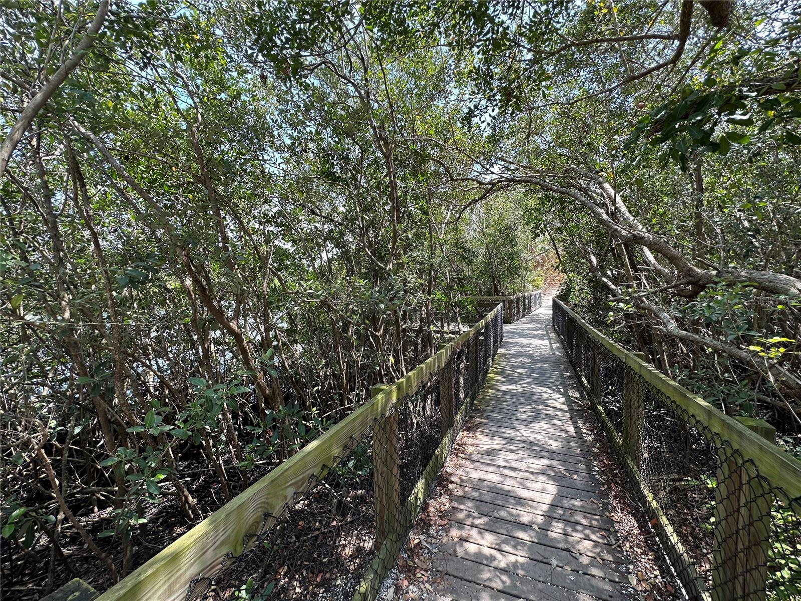 TOWN SHORES OF GULFPORT - Residential