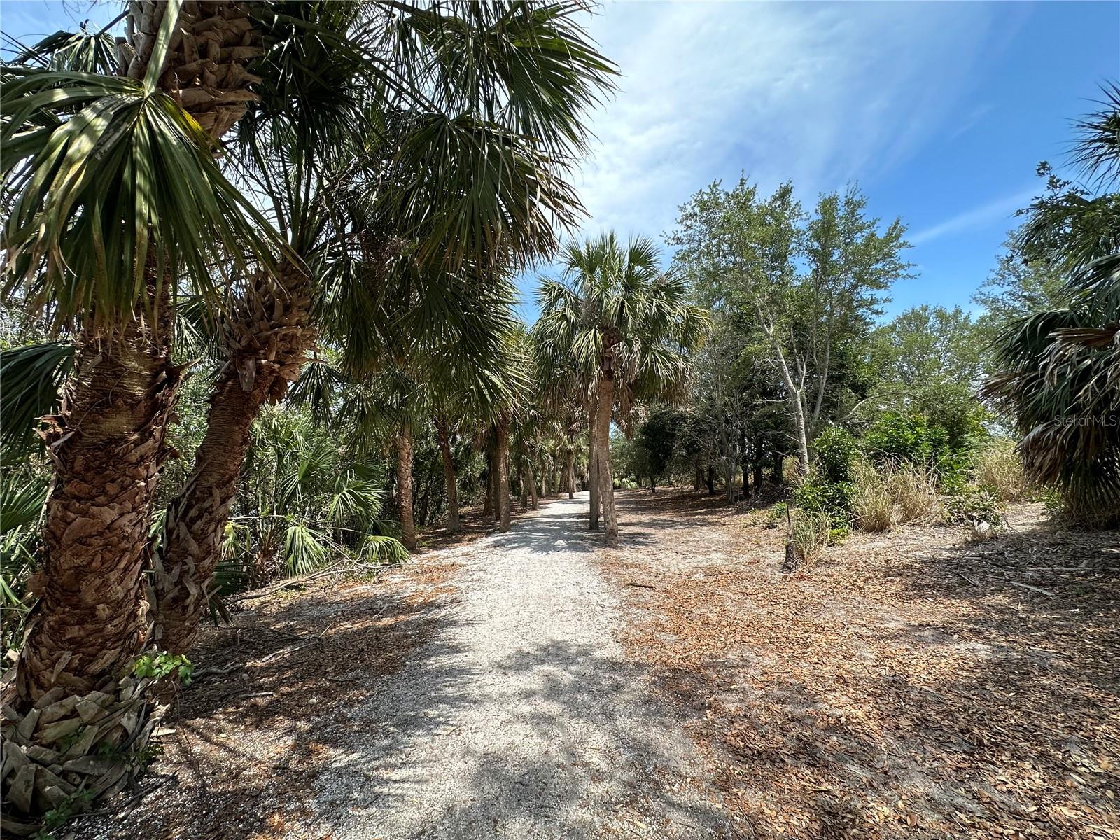 TOWN SHORES OF GULFPORT - Residential