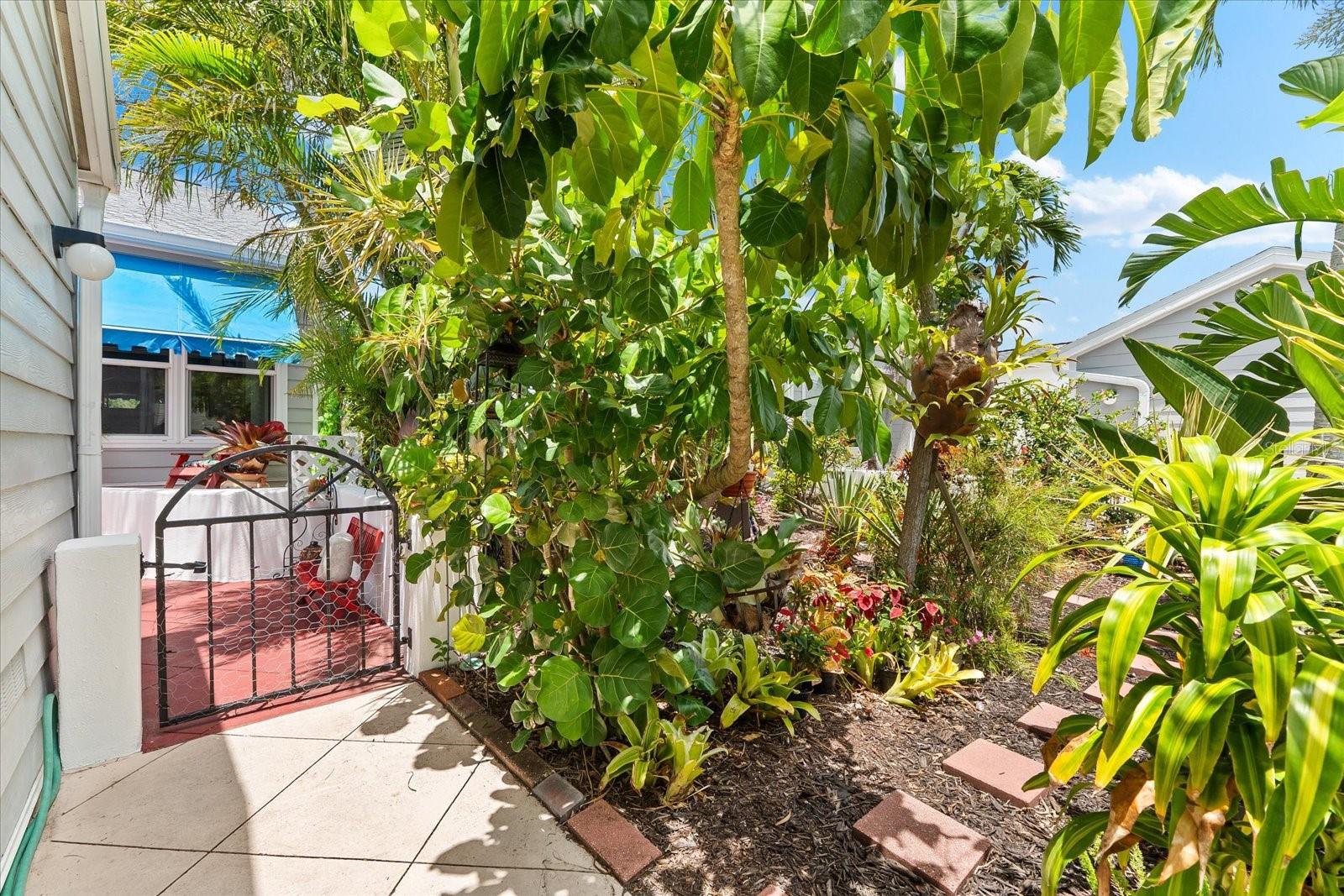 PERICO BAY CLUB - Residential