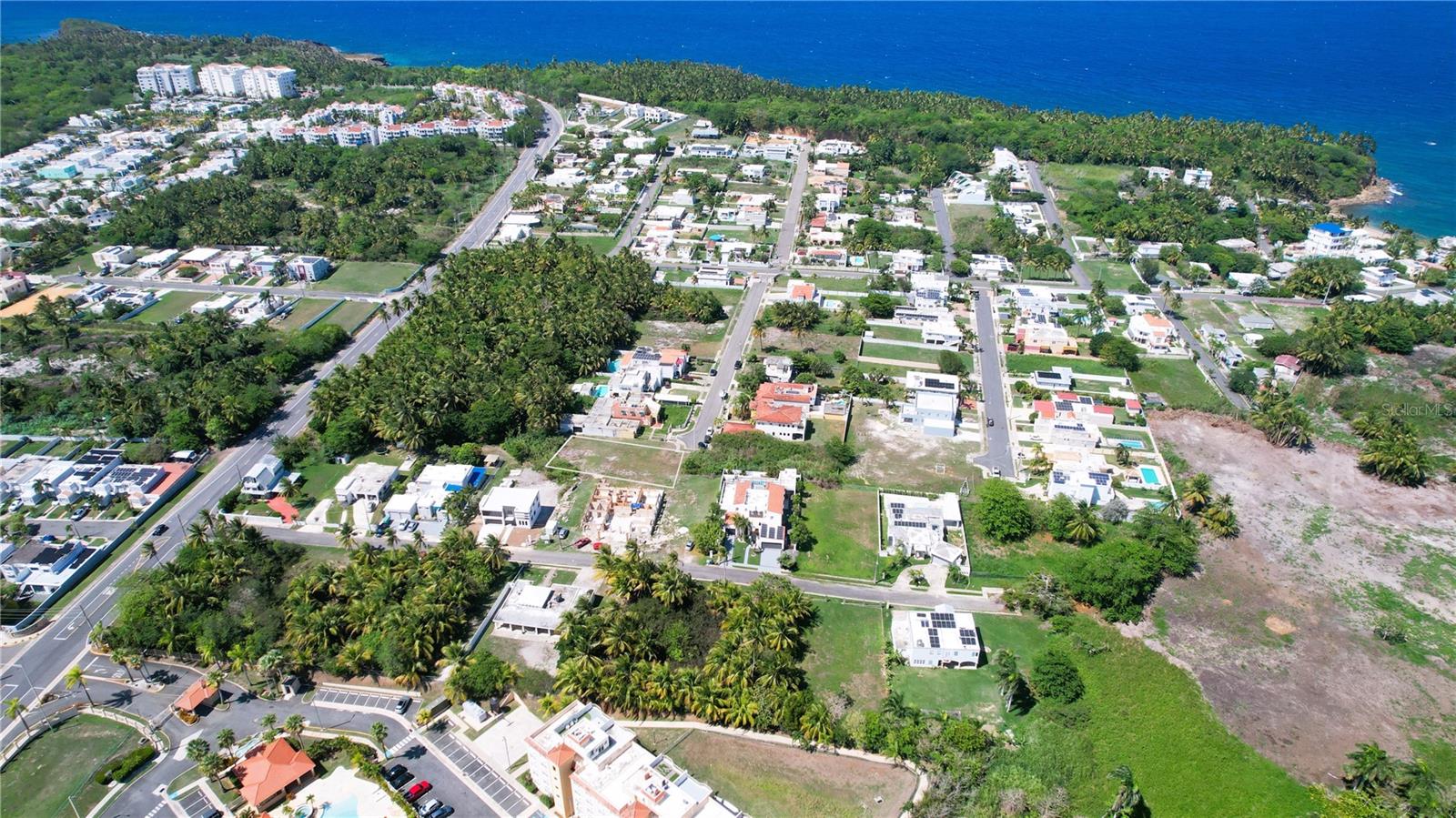 PALMAS DE CERRO GORDO