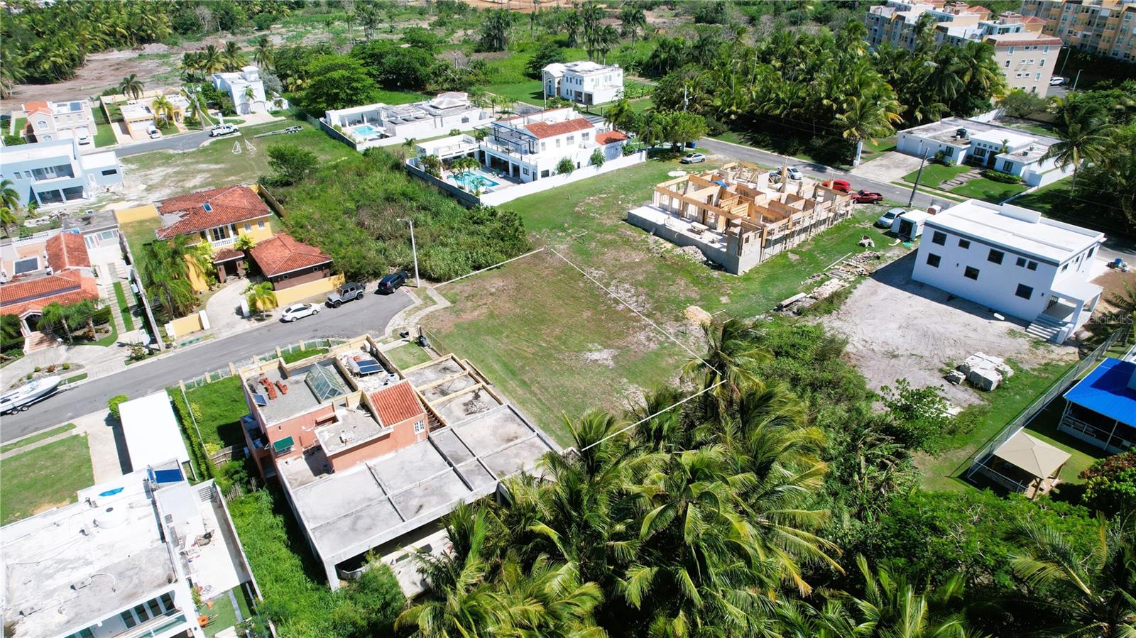 PALMAS DE CERRO GORDO