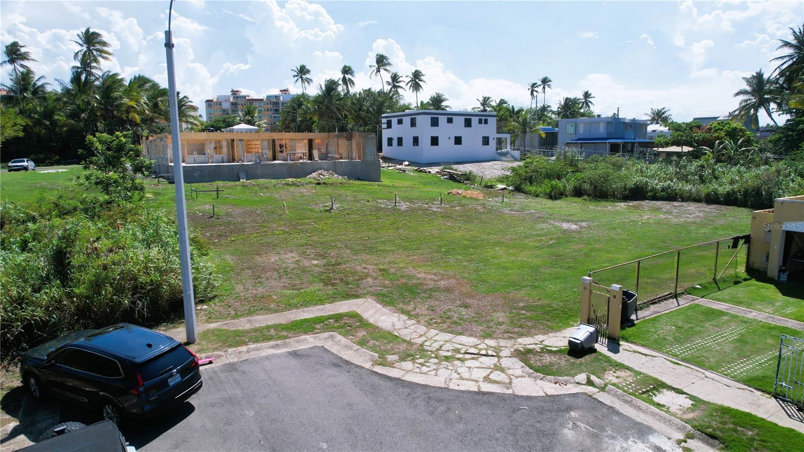 PALMAS DE CERRO GORDO