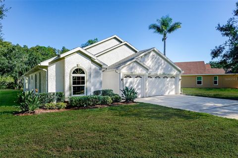 315 TAVERNIER DRIVE OLDSMAR FL 34677