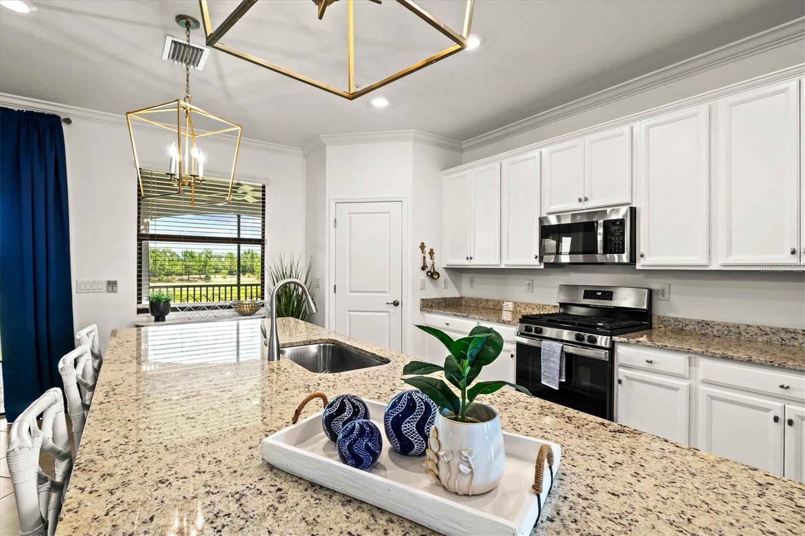 COACH HOMES IV AT LAKEWOOD NATIONAL - Residential