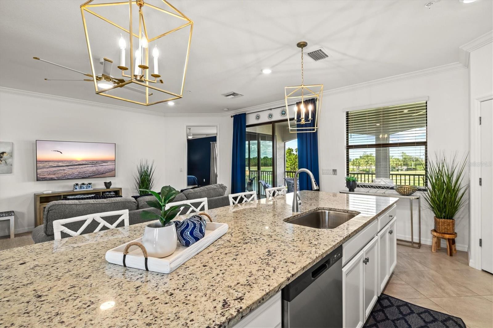 COACH HOMES IV AT LAKEWOOD NATIONAL - Residential