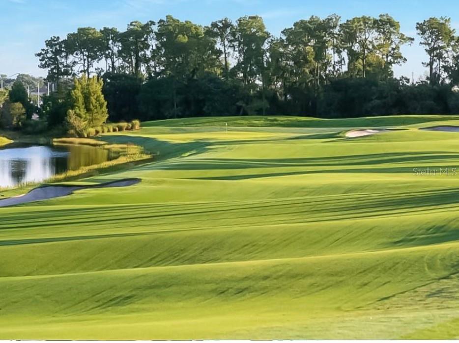 COACH HOMES IV AT LAKEWOOD NATIONAL - Residential