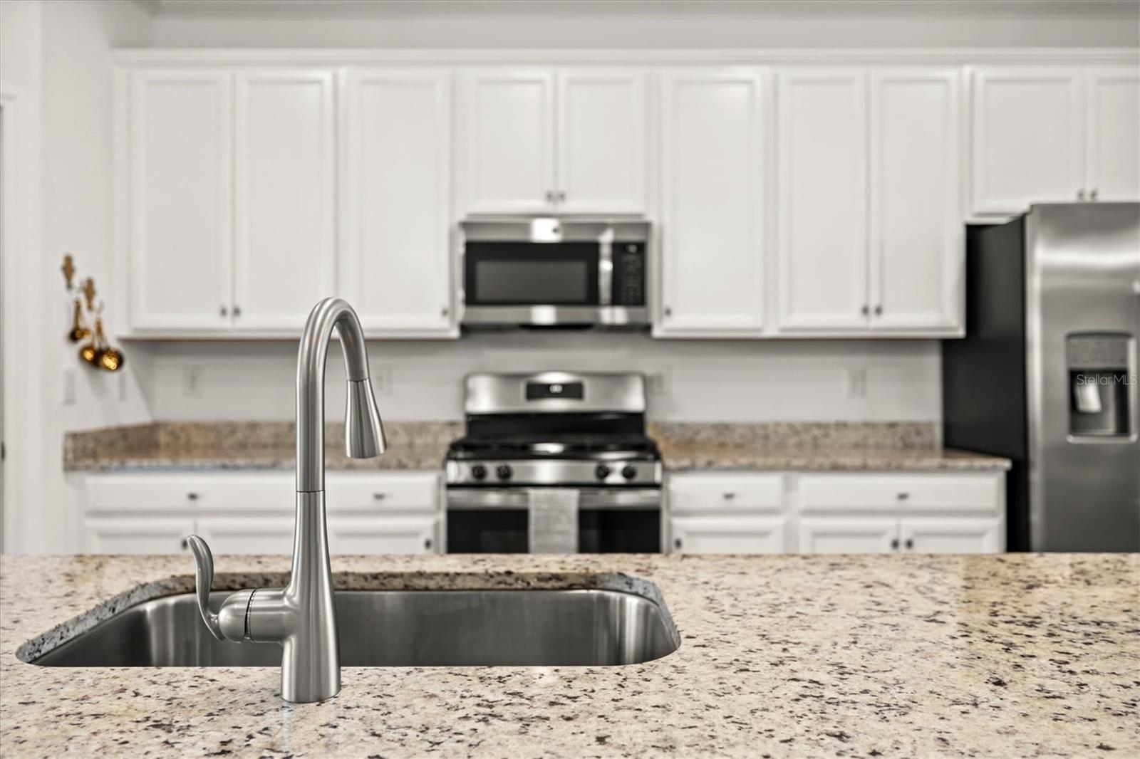 COACH HOMES IV AT LAKEWOOD NATIONAL - Residential