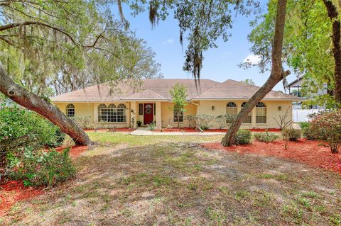Photo of 7409 Megan Elissa Lane, Orlando, FL 32819 (MLS # O6397535)