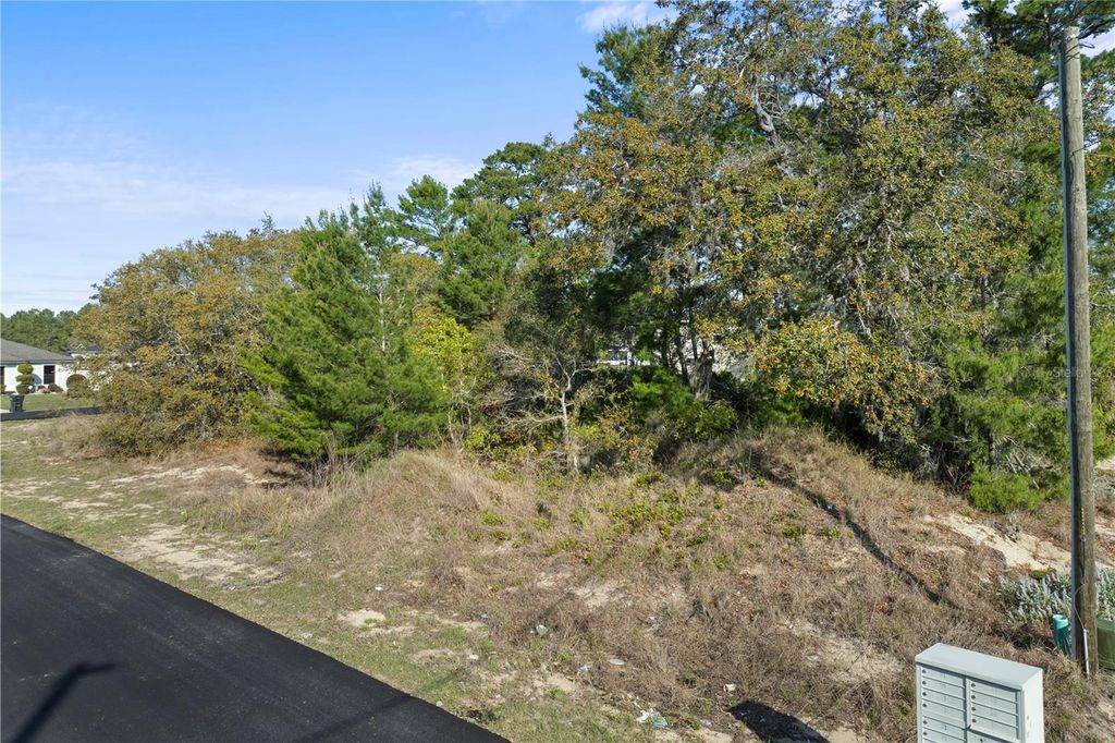 Photo of 2017 Maple Lane, Poinciana, FL 34759 (MLS # O6392749)