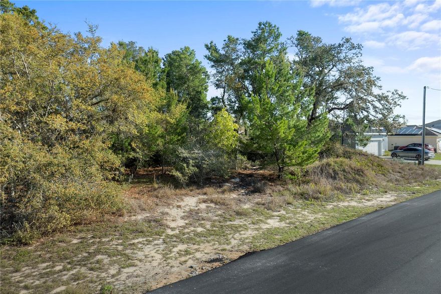 Fantastic opportunity to build your dream home on this vacant residential lot at 2017 Maple LN in Poinciana, zoned for single-family use. The property is high and dry with approximately 70 feet of frontage and offers direct road access, with public sewer, water, and electricity available, making it an excellent foundation for new construction.

Situated on Maple Lane, where only a handful of buildable lots remain, this location offers the benefit of an established neighborhood without ongoing construction surrounding you for years to come. Whether you’re ready to build now or looking to secure land in a growing Central Florida area, this lot presents a great opportunity for both homeowners and investors.

Conveniently located with easy access to Poinciana Parkway, I-4, and Hwy 27, commuting and travel throughout Central Florida is simple. Everyday essentials are close by, including shopping, dining, schools, banking, and medical facilities such as HCA Florida Poinciana Hospital. Outdoor enthusiasts will appreciate nearby parks and recreation around Lake Marion, while popular destinations like Walt Disney World (about 30 minutes away) and Orlando International Airport (less than an hour) are within comfortable reach.

Take a drive by and explore the possibilities—a great opportunity to build in an established and continually growing community.