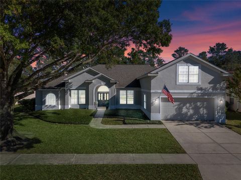 A home in MOUNT DORA