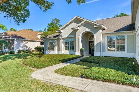 A home in MOUNT DORA