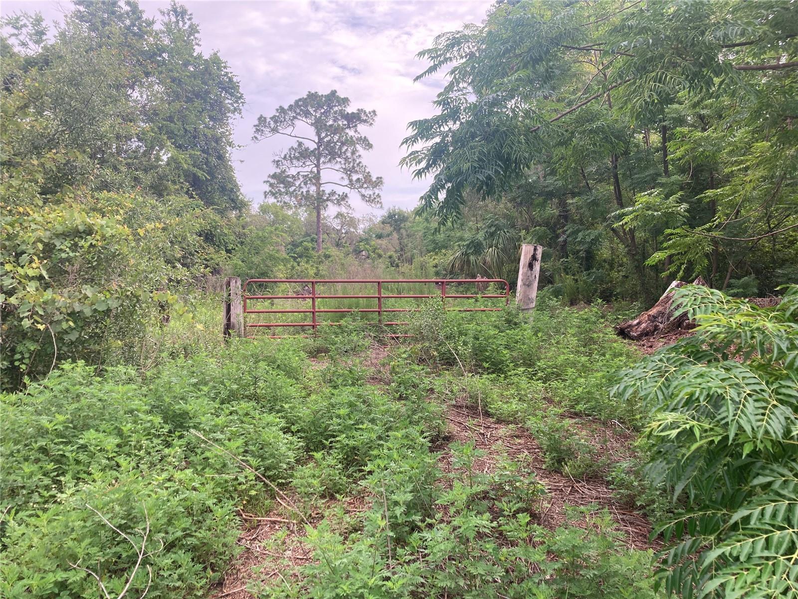 Vacant Land High and Dry. Flood Zone X. Just Around the Corner from Hudson K Through 12. The Property backs up to the School.