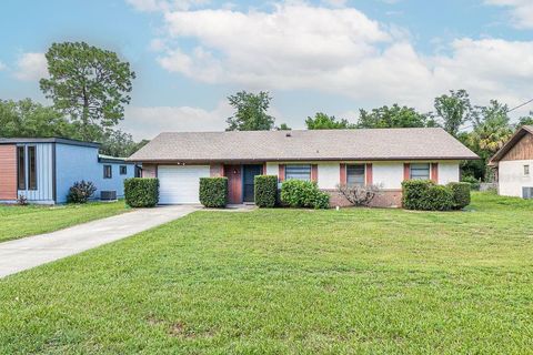 223 E FERN DRIVE ORANGE CITY FL 32763