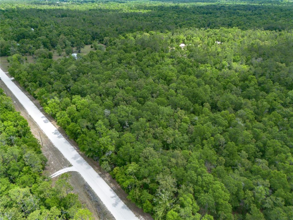 Photo of SW Loncala Loop, Fort White, FL 32038 (MLS # GC539875)