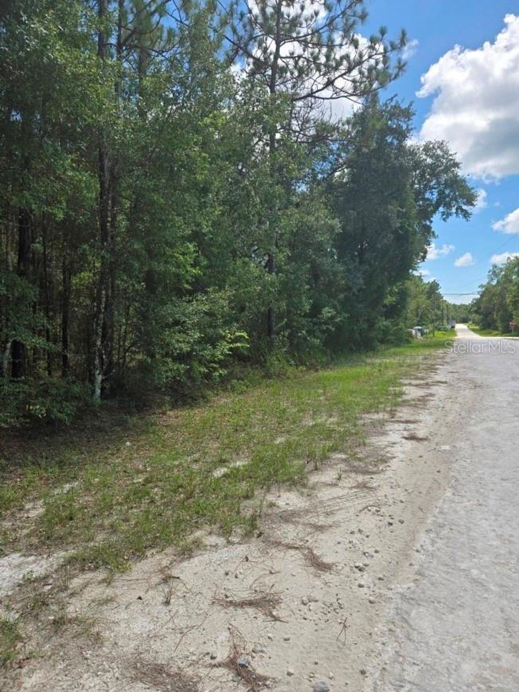 Photo of 14126 Ricebird Avenue, Brooksville, FL 34614 (MLS # TB8435277)