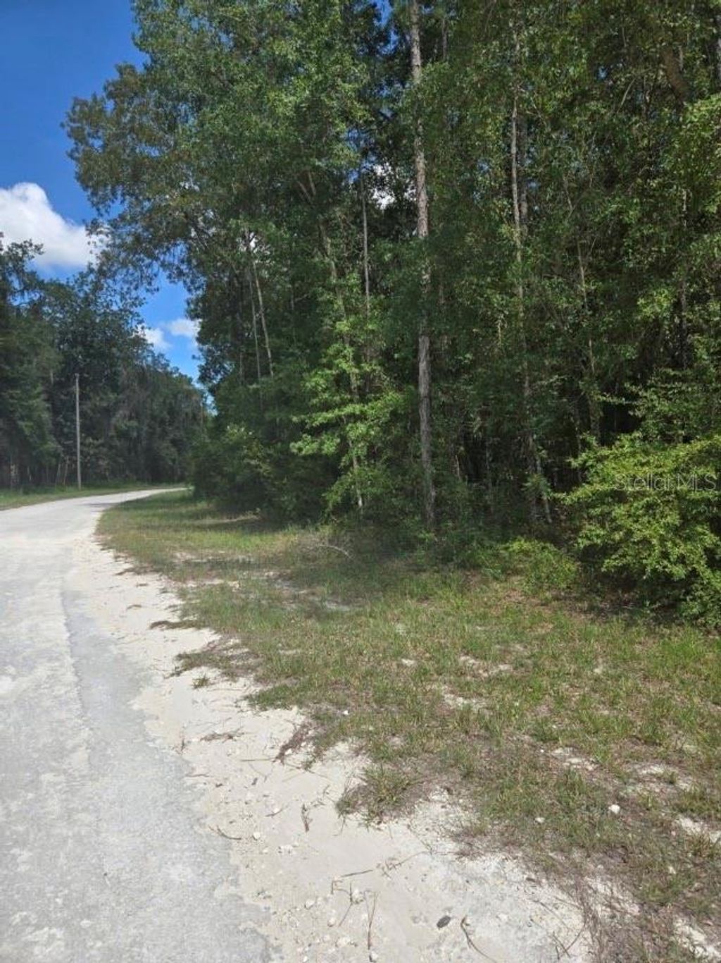 Photo of 14126 Ricebird Avenue, Brooksville, FL 34614 (MLS # TB8435277)