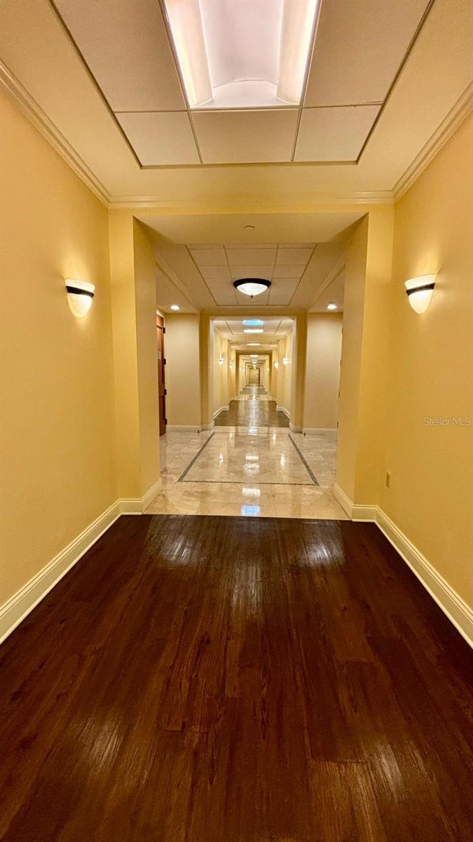 OFFICES/VERANDA PARK BLDG 1500 - Commercial Lease