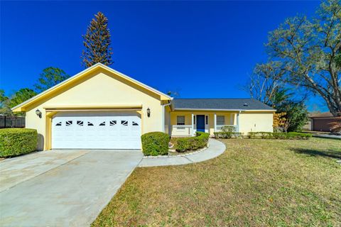 18509 PUTTERS PLACE TAMPA FL 33647