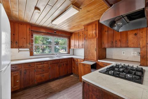 Tiny photo for 527 E Lemon Avenue, Eustis, FL 32726 (MLS # G5113226)