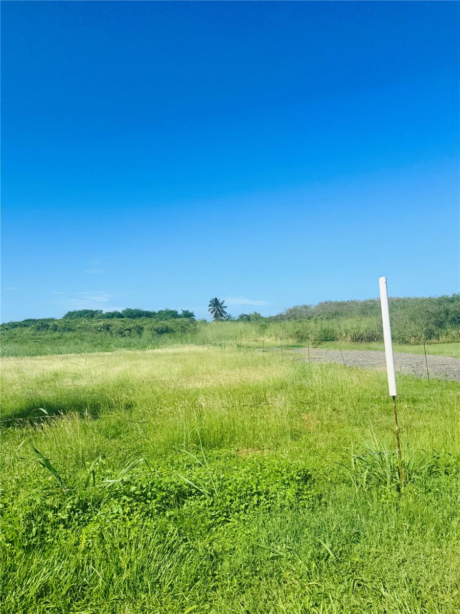 Bo Aguacate KM 31.6 (INT), PR 110, CAMINO A