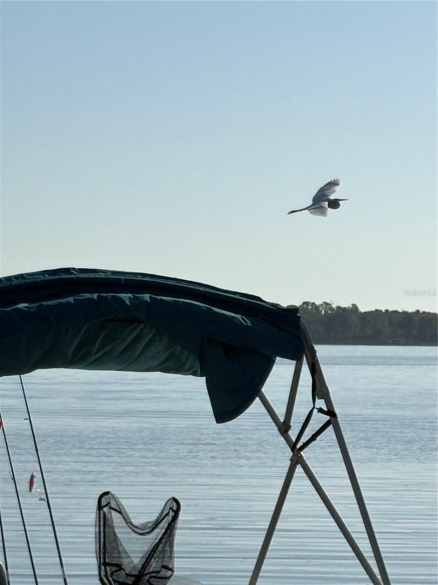 DOLLY BAY ON LAKE TARPON - Residential