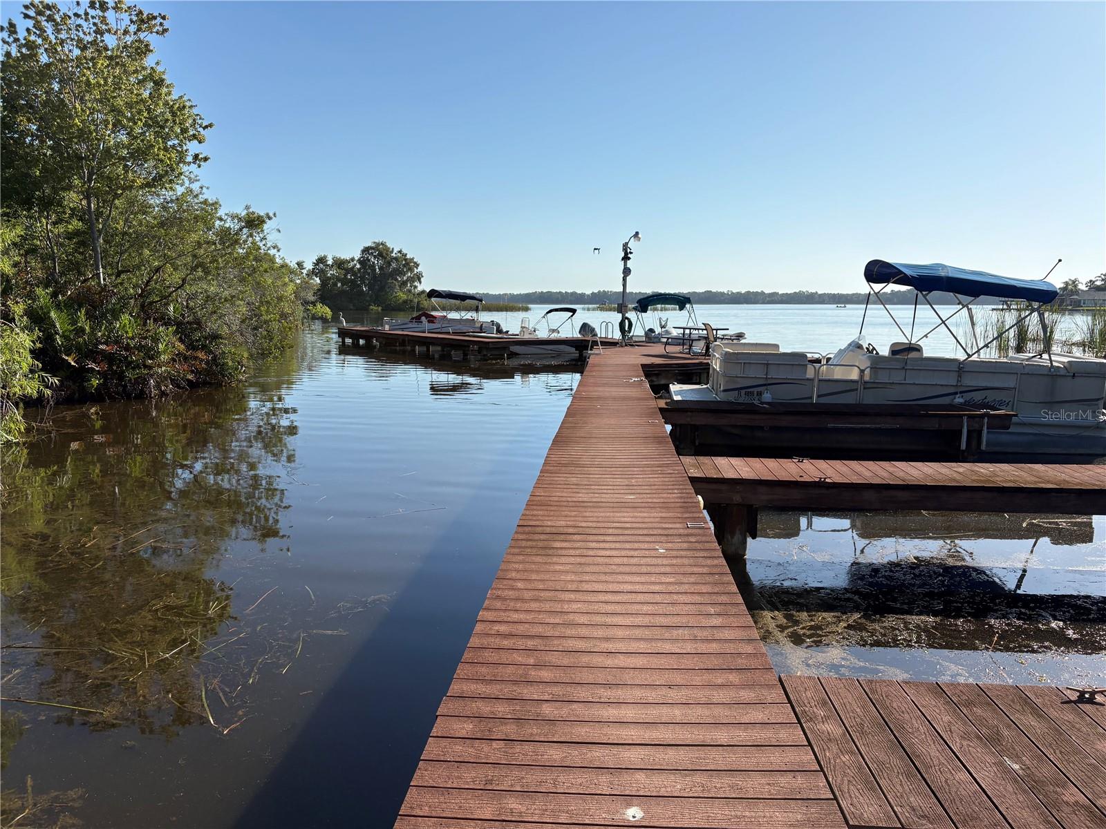 DOLLY BAY ON LAKE TARPON - Residential