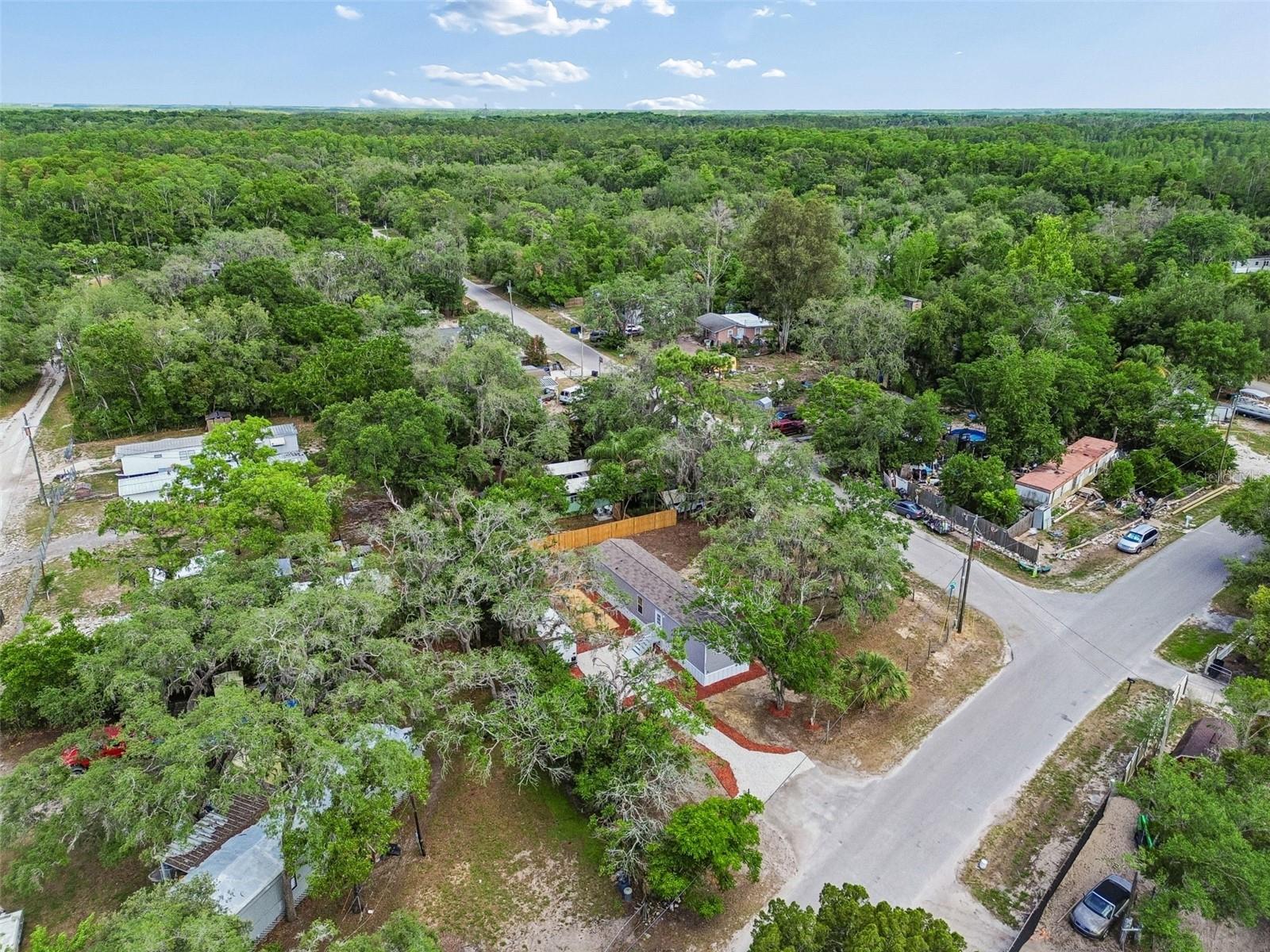 MOON LAKE ESTATES - Residential
