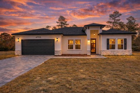 Photo of 4705 SW 159th Lane Road, Ocala, FL 34473 (MLS # O6373269)