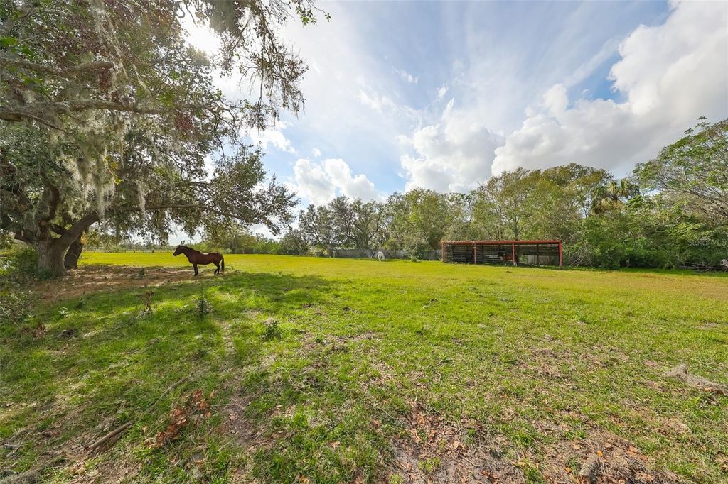 Photo of 15624 Carlton Lake Road, Wimauma, FL 33598 (MLS # W7878608)