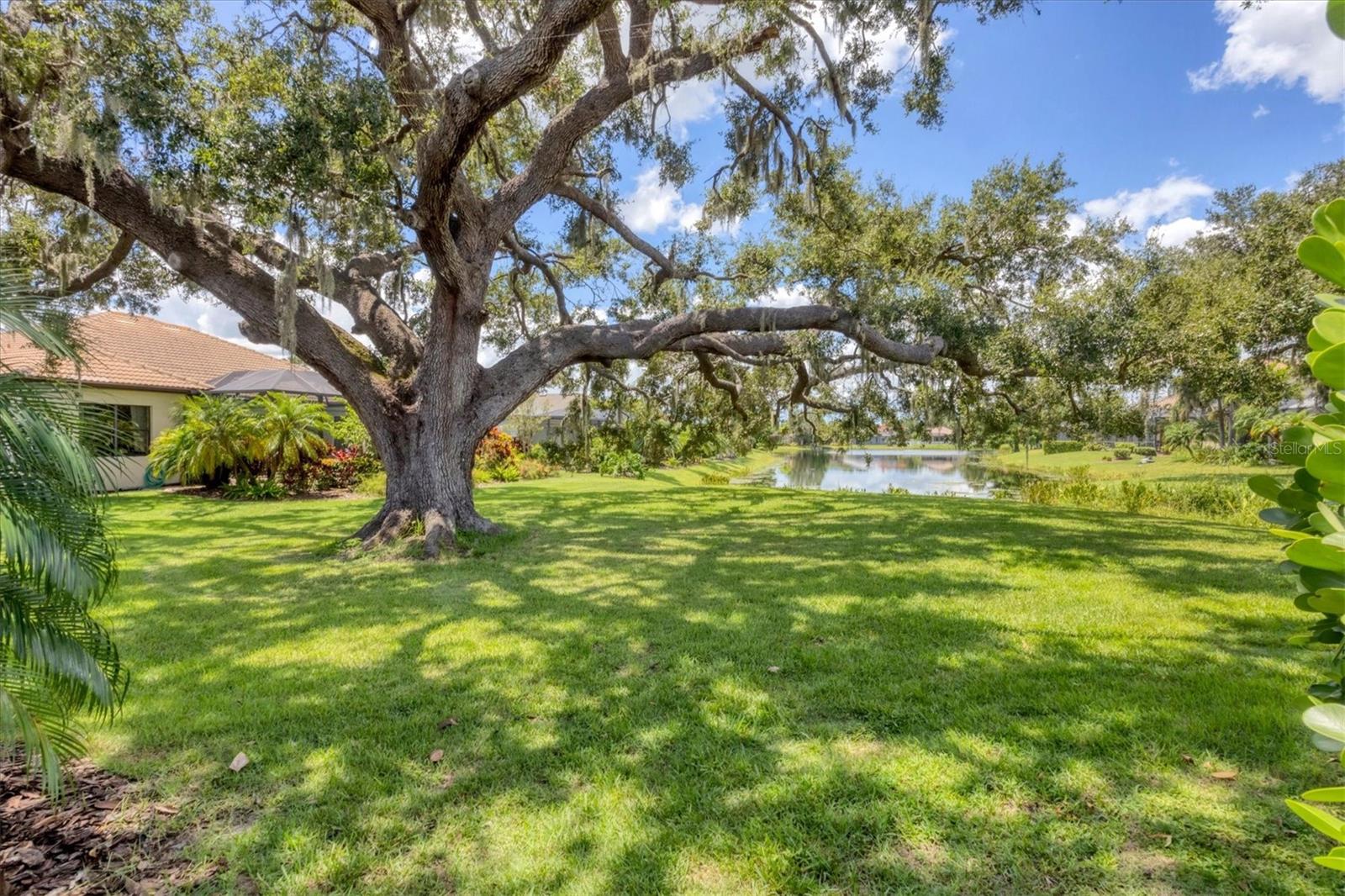 GREENBROOK VILLAGE SUBPHASE LL - Residential