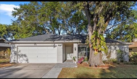 3601 PLAYER DRIVE NEW PORT RICHEY FL 34655