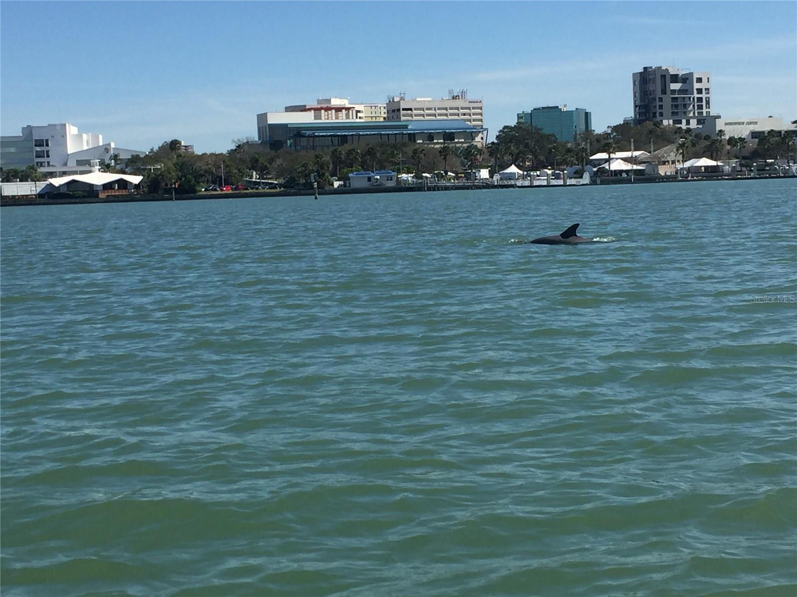 HIGHLAND GROVES - Residential Lease