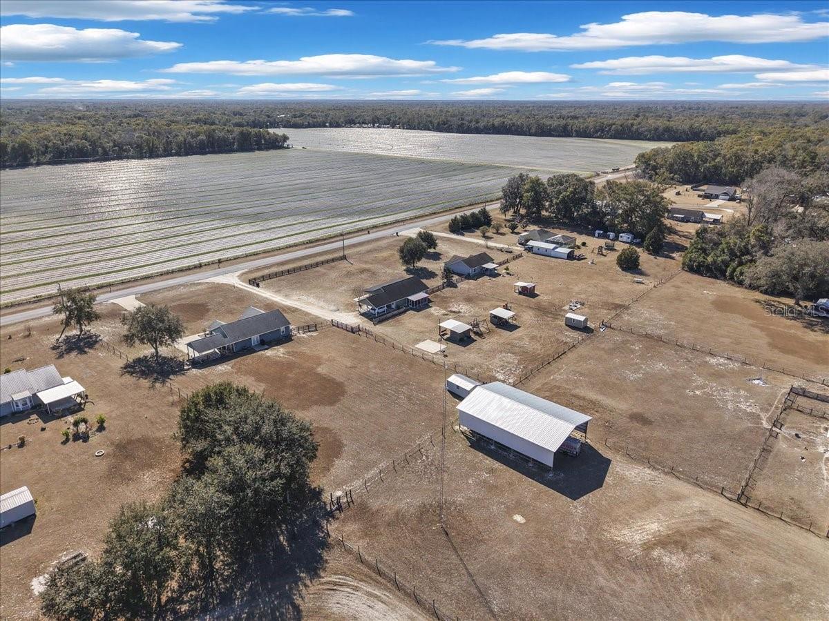 MEADOW WOOD PH 01 - Residential