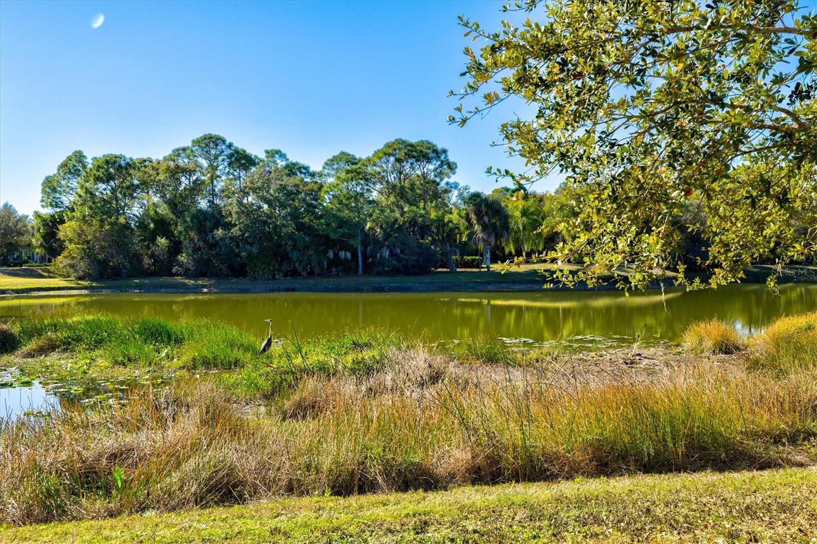 GRAND PALM PH 1A - Residential