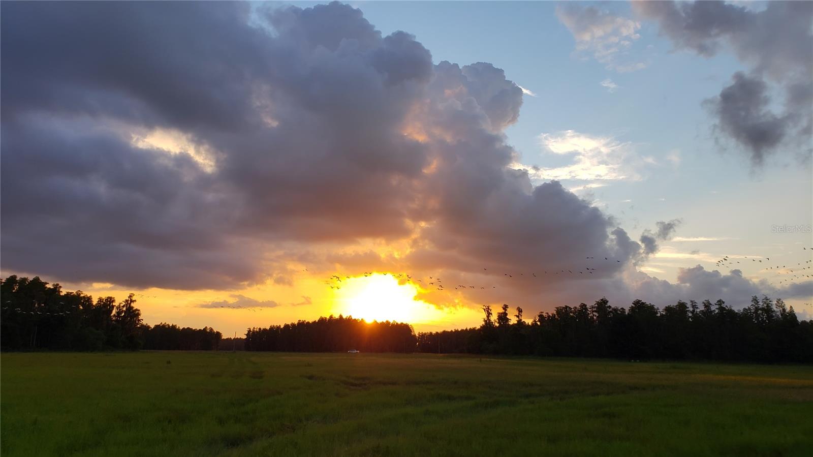 Rare opportunities like this don't come often. Finding a pristine 30-acre tract in rapidly growing Lakeland, Florida, is already challenging, but this Moore Road property offers something truly exceptional. Surrounded by land permanently protected from development through conservation easements, your peaceful views are guaranteed forever.
The easement allows for constructing a home and farm buildings, so you can enjoy watching native wildlife and breathtaking sunrises and sunsets. Whether you dream of raising livestock, cultivating crops, or simply enjoying a rural lifestyle, this property is ideal. And despite the tranquil setting, you're just minutes from major shopping, Publix, and a regional hospital, with Tampa and Orlando International airports about an hour away.
The property is fenced and cross-fenced with barbed wire and has a permitted 6" well. The well does not currently have a pump or power unit.