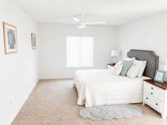 PINE RIDGE AT LAKE TARPON VILLAGE - Residential