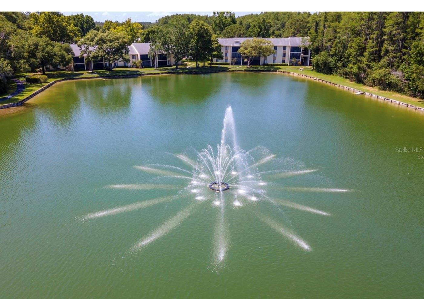 PINE RIDGE AT LAKE TARPON VILLAGE - Residential