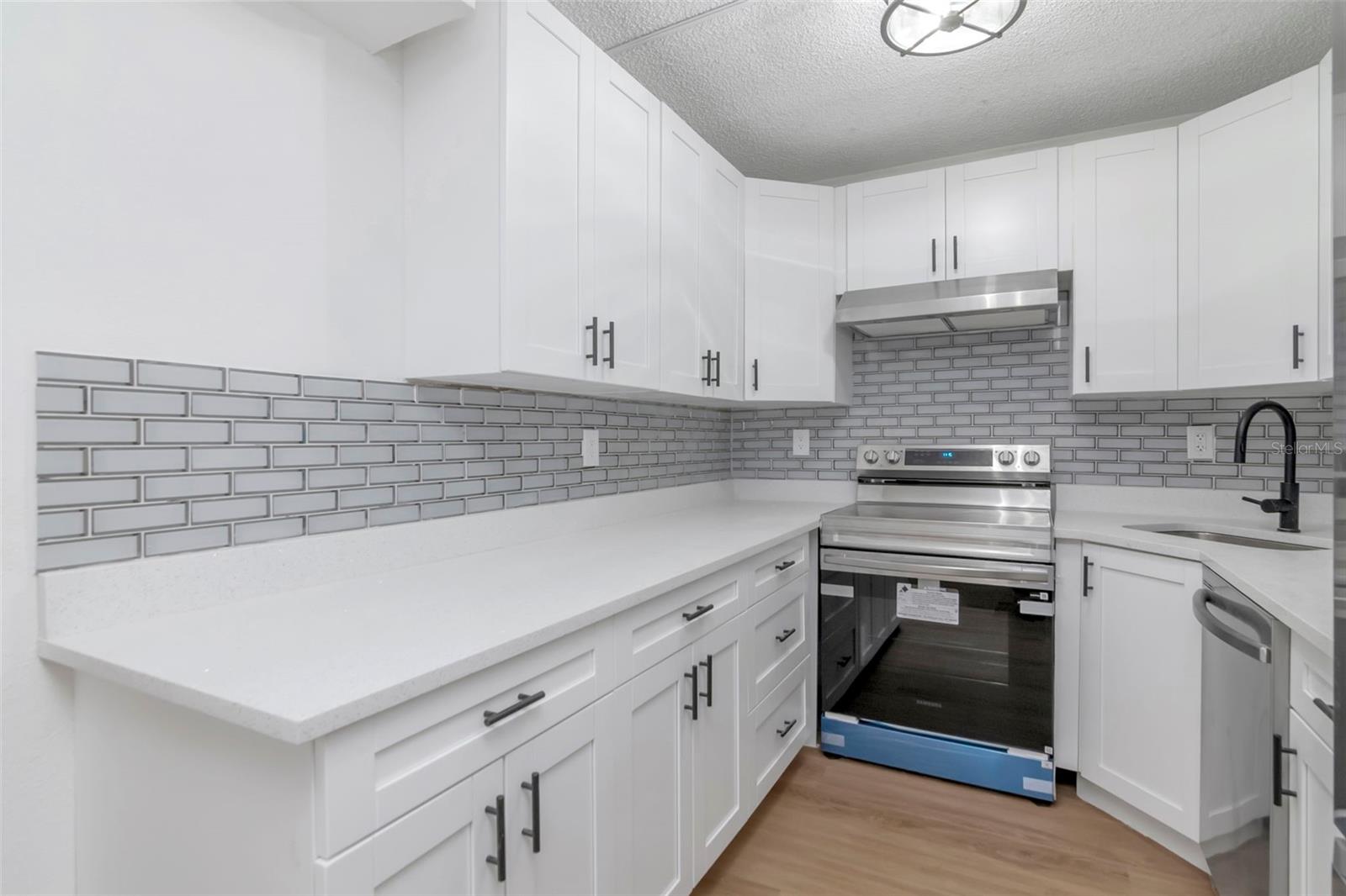 PINE RIDGE AT LAKE TARPON VILLAGE - Residential