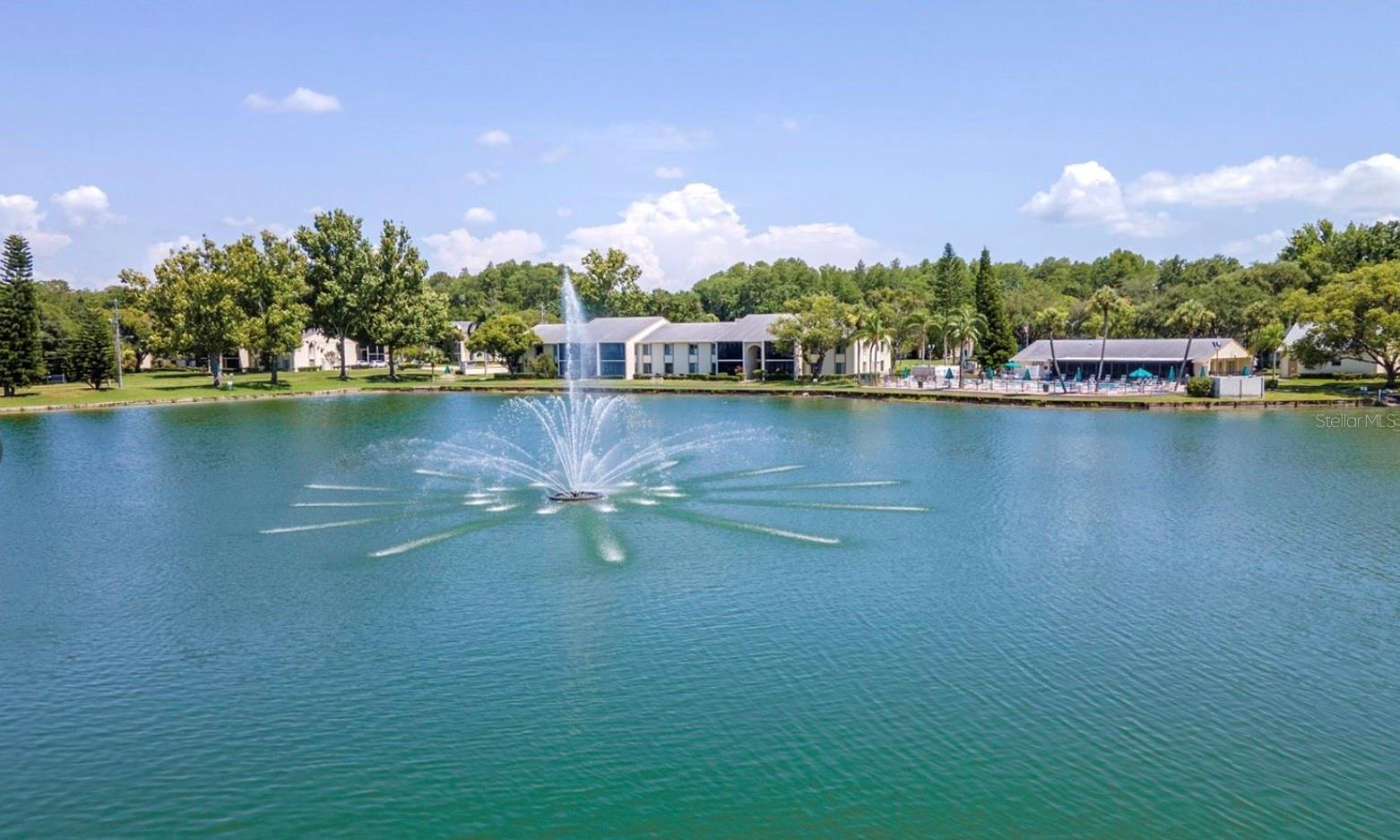 PINE RIDGE AT LAKE TARPON VILLAGE - Residential