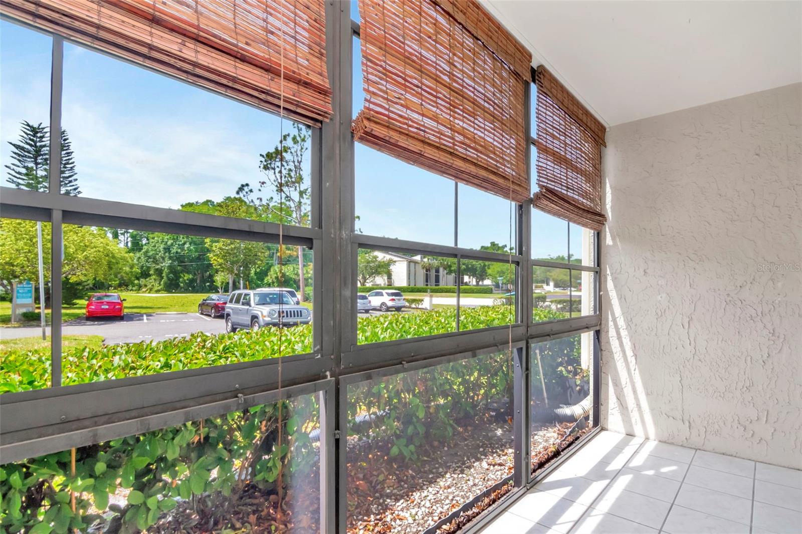 PINE RIDGE AT LAKE TARPON VILLAGE - Residential