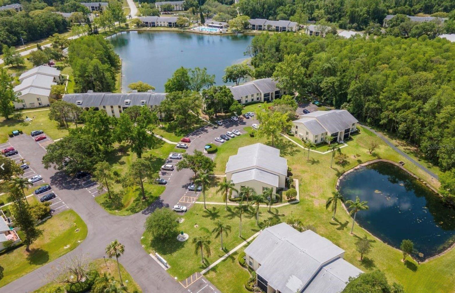 PINE RIDGE AT LAKE TARPON VILLAGE - Residential