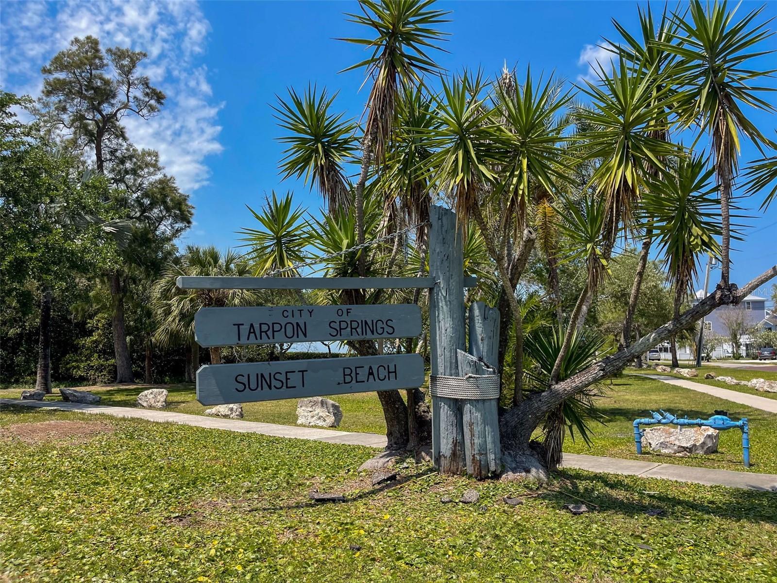 TAMPA & TARPON SPGS LAND CO - Residential